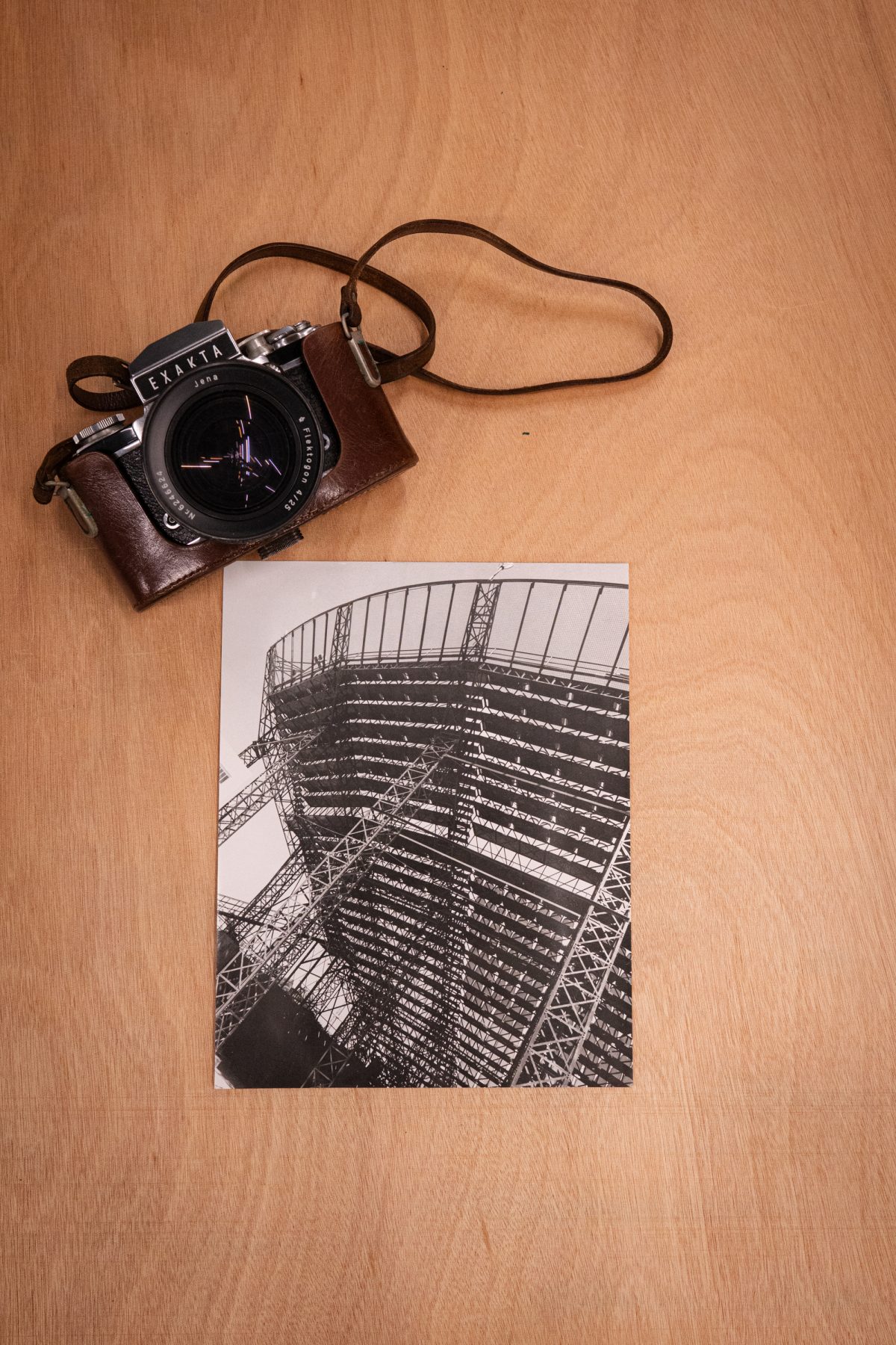 Archisearch Ελίνα Ζενέτου: 