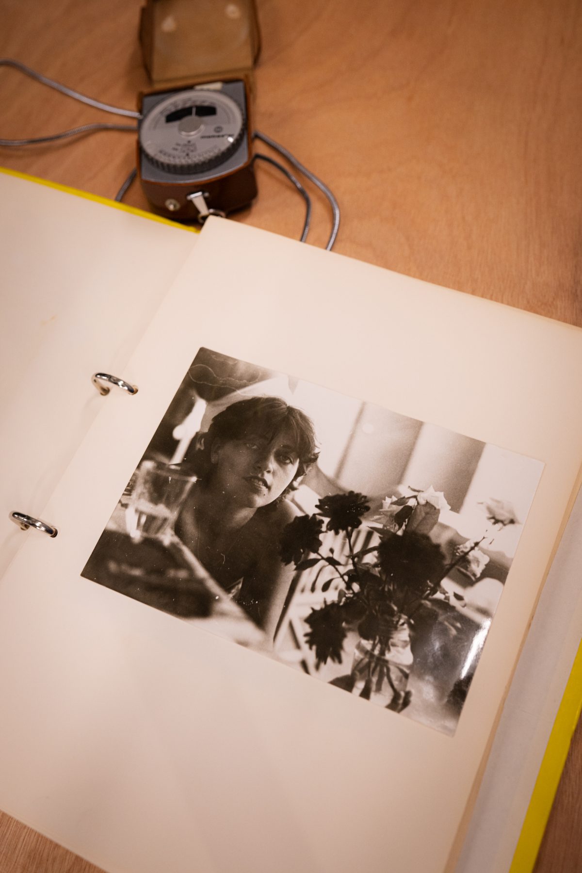 Archisearch Ελίνα Ζενέτου: 