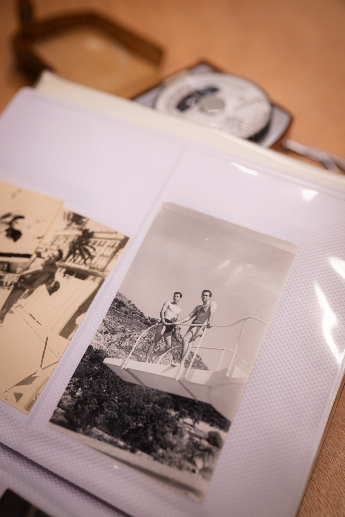 Archisearch Ελίνα Ζενέτου: 