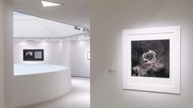 Archisearch - Implicit Tensions: Mapplethorpe Now | January 25 - July 10, Guggenheim Museum