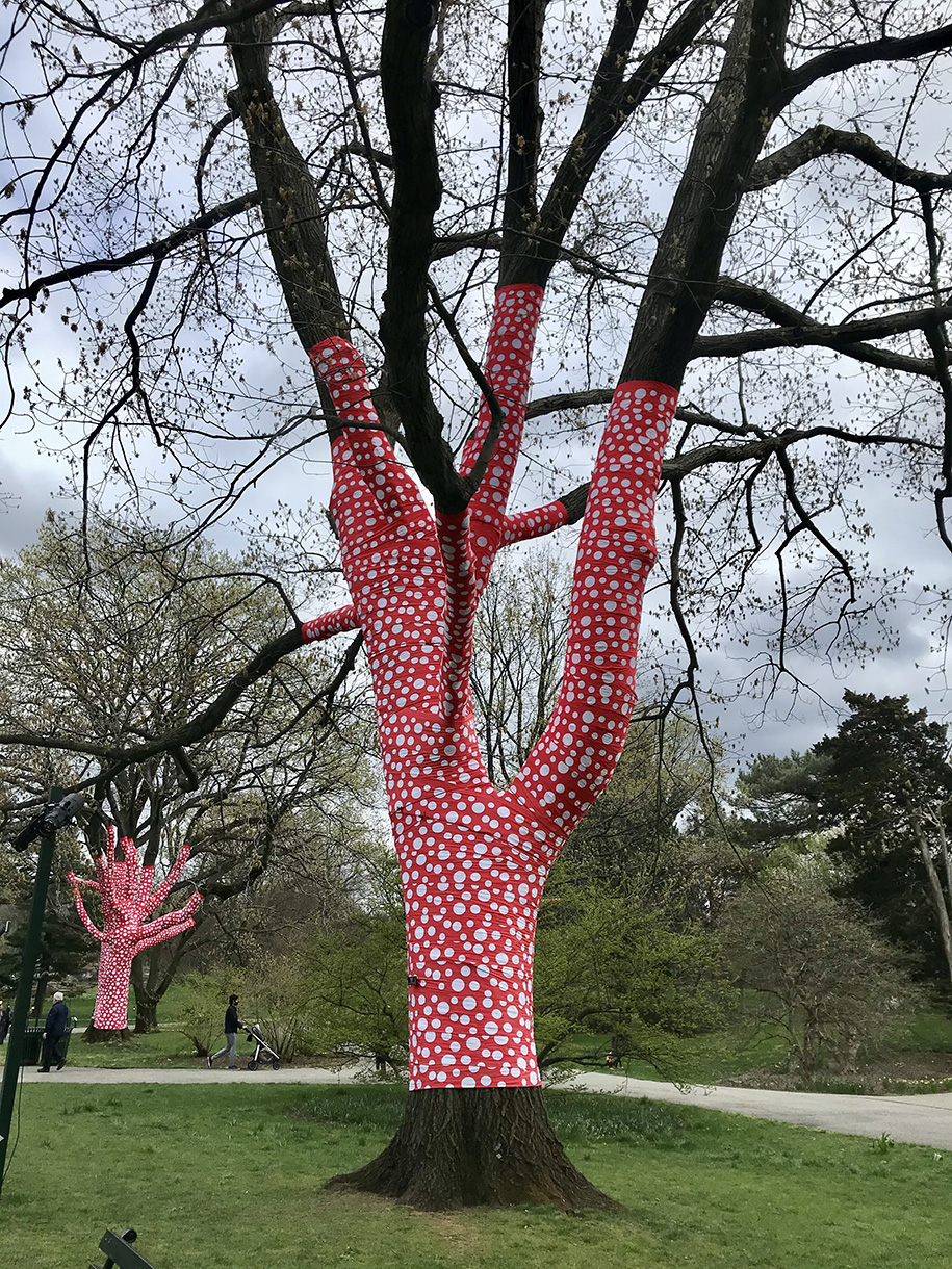 Archisearch KUSAMA_Cosmic Nature: Experience Yayoi Kusama's profound connection with New York Botanic Garden