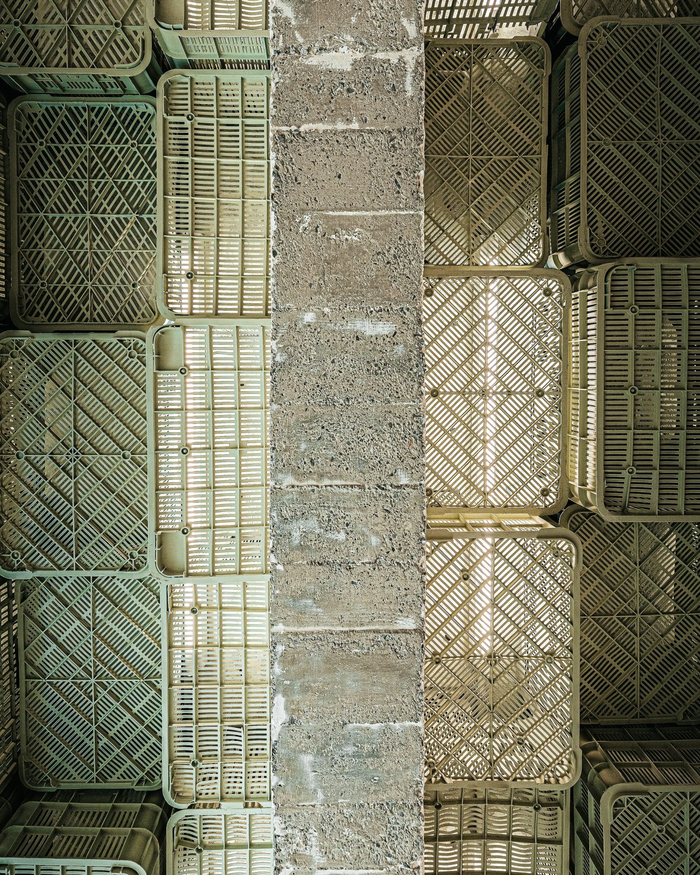 Archisearch Minimal Studio’s Plastic Box reinvents the supermarket through brutalism in Majorca, Spain