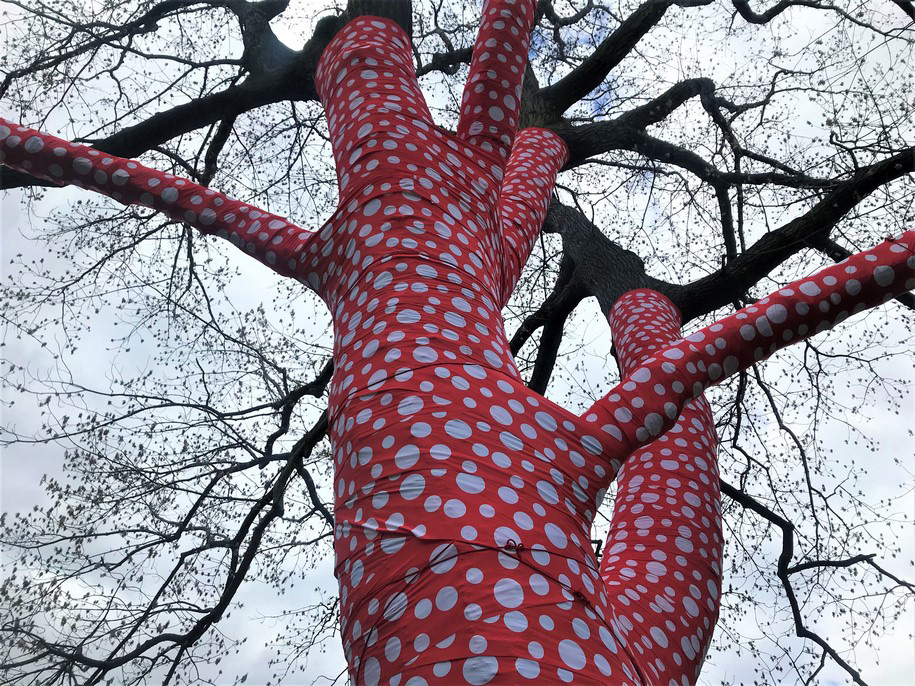 Archisearch KUSAMA_Cosmic Nature: Experience Yayoi Kusama's profound connection with New York Botanic Garden