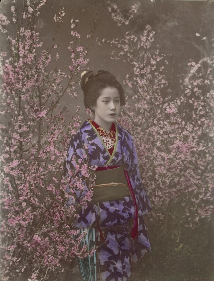 Archisearch - Ogawa Kazumasa A Damsel – Maiko zur Kirschblütenzeit um 1890 Albuminpapier, koloriert, 27,0 x 20,6 cm (c) Staatliche Museen zu Berlin, Ethnologisches Museum