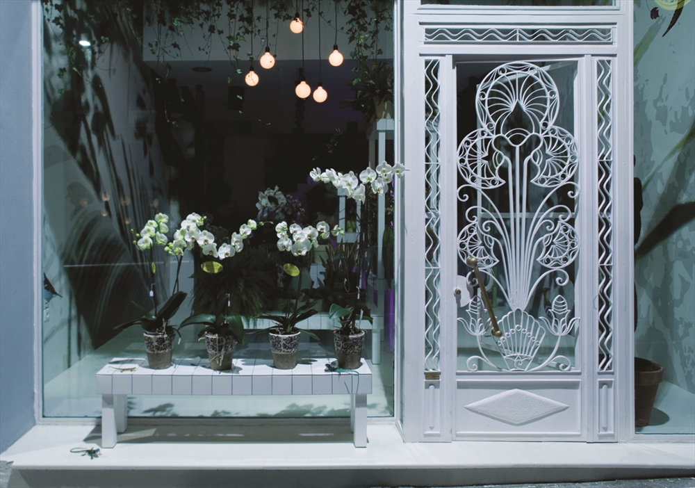 Archisearch - Flowershop, Patras