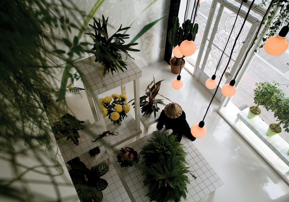 Archisearch - Flowershop, Patras