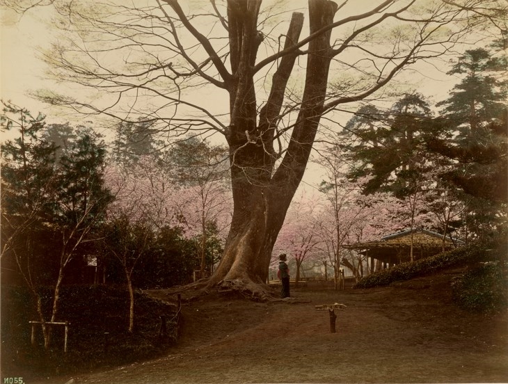 Archisearch - Fotograf unbekannt Tōkyō, Gartenlandschaft mit Geisha, um 1885 Albuminpapier, koloriert, 19,8 x 26,2 cm (c) Staatsbibliothek zu Berlin – Preußischer Kulturbesitz