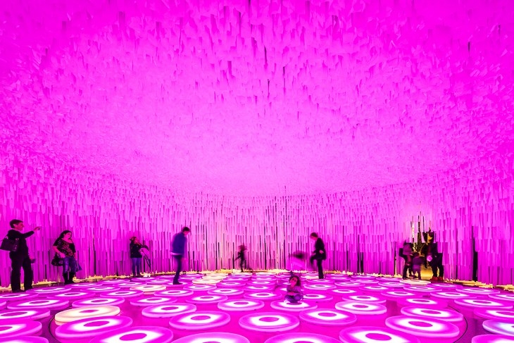 Archisearch - wonderWALL / LIKEarchitects