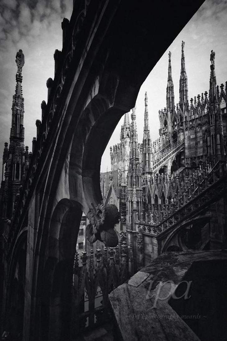 Archisearch - Non-pro: Others. 1st: Marco Virgone, ‘Between gotic capitals’