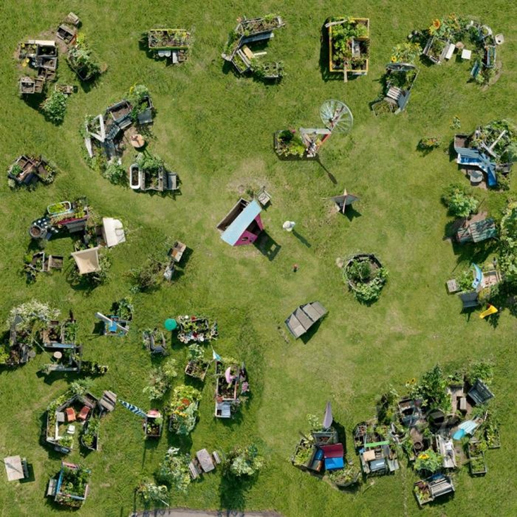 Archisearch - Pro. Other: 2nd: Katharina Fitz, ‘Urban gardening patchwork’