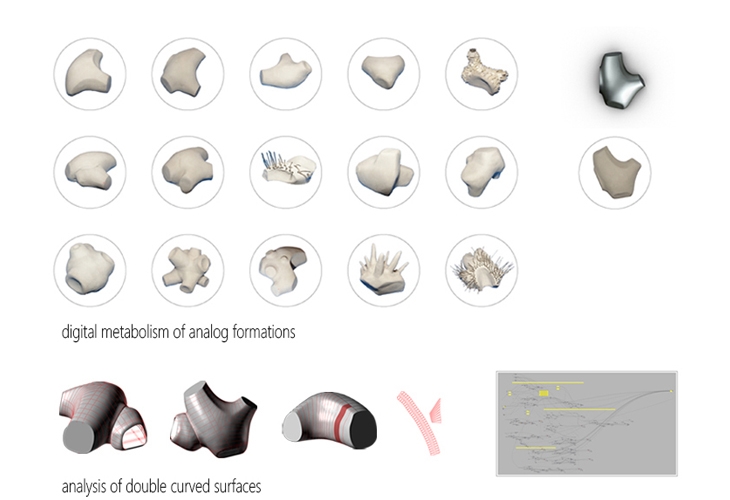 Archisearch - Digital metabolism of analog formations