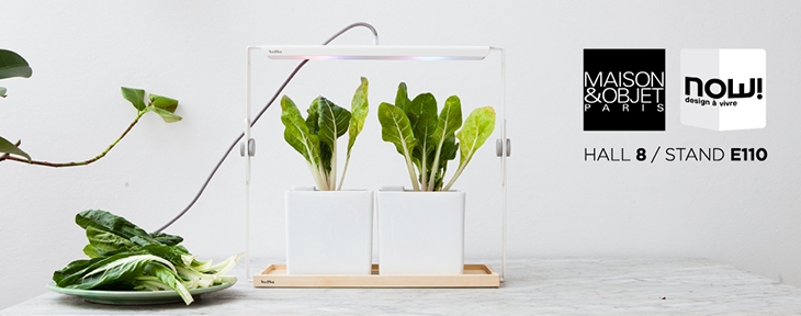 Archisearch - BULBO LIGHTS FOR FOOD AT THE PARIS DESIGN WEEK 2014