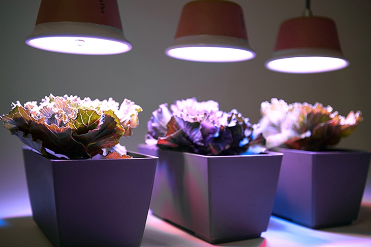 Archisearch BULBO LIGHTS FOR FOOD AT THE PARIS DESIGN WEEK 2014