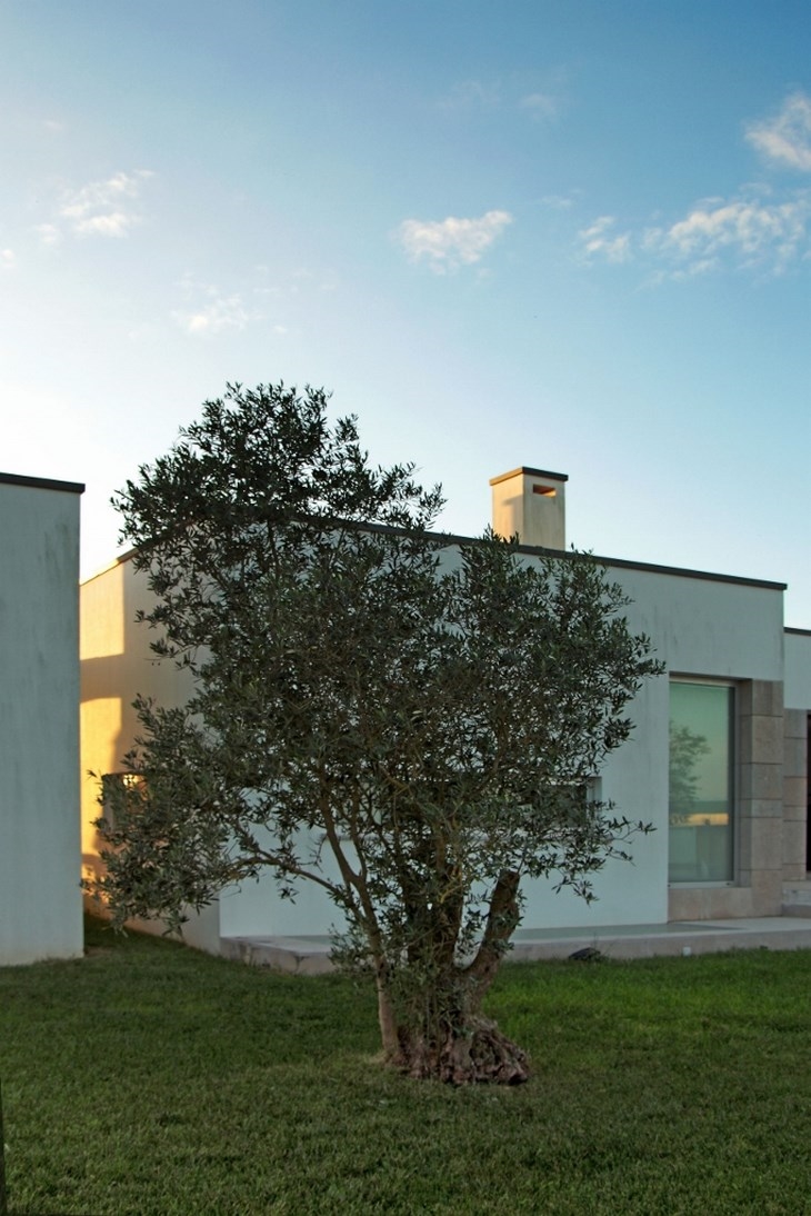Archisearch - 2nd Phase / House in Cruz de Oliveira