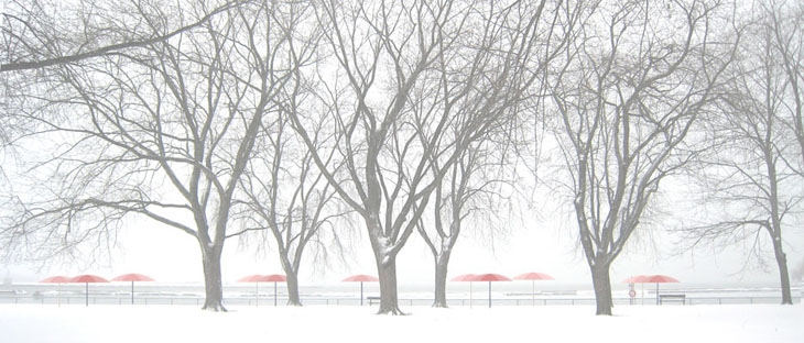 Archisearch - Sugar Beach by Claude Cormier+Associates_Masterplan_Snow and fog during the winter 