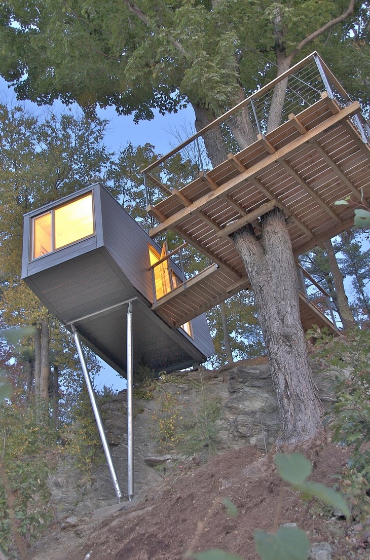 Archisearch - Treehouse at cliff
