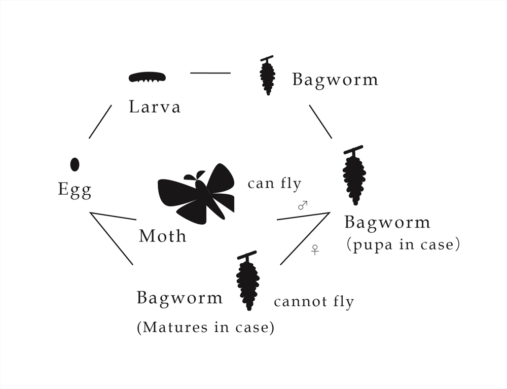 Archisearch BAGWORMS BY AKI INOMATA