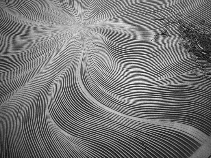 Archisearch - ELENI SAKELARIS CREATES FANTASTIC BLACK and WHITE LINOPRINTS