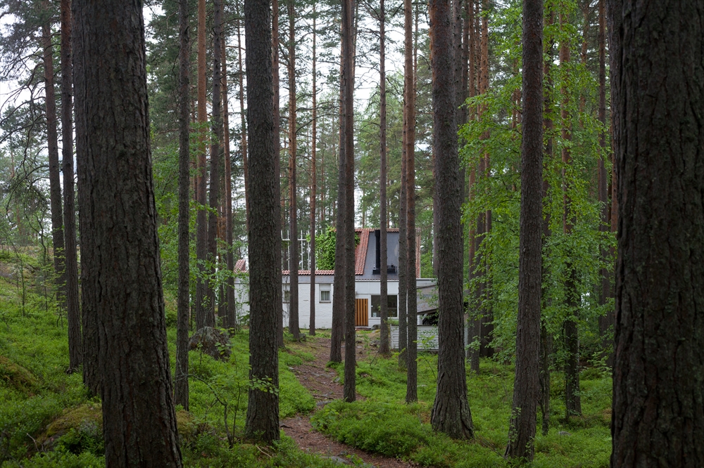 Archisearch MUURATSALO EXPERIMENTAL HOUSE / ALVAR AALTO