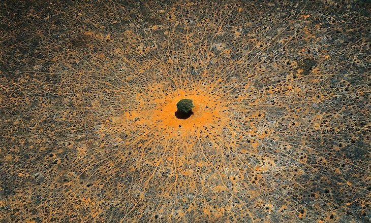 Archisearch - ΜΑΧΗ ΦΑΝΤΑΣΙΩΝ / ΤΟΥ ΤΗΛΕΜΑΧΟΥ ΑΝΔΡΙΑΝΟΠΟΥΛΟΥ