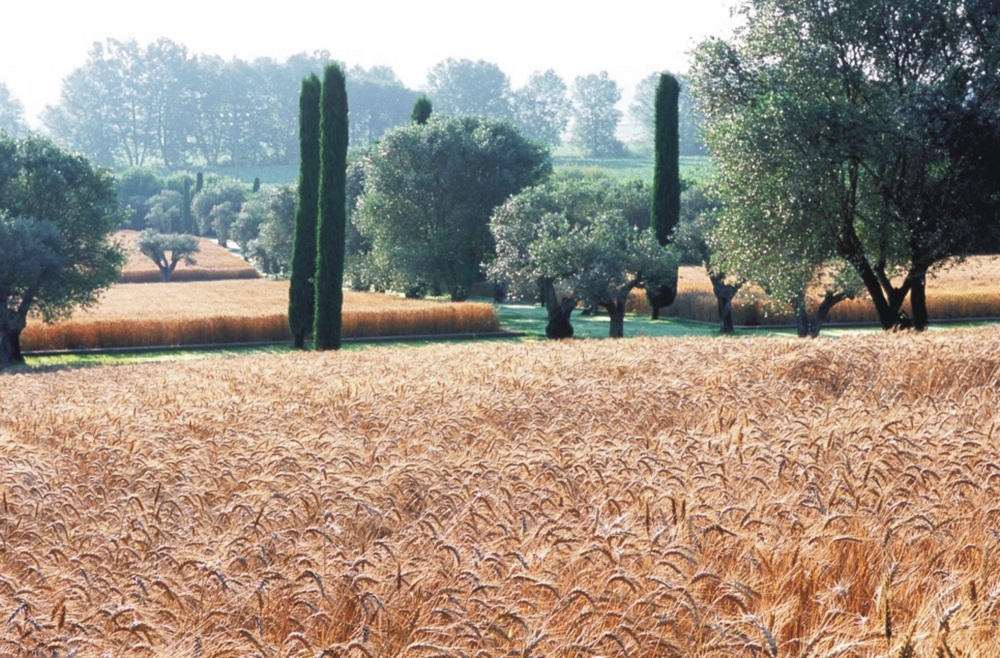 Archisearch FERNANDO CARUNCHO /  Ο ΦΙΛΟΣΟΦΟΣ ΚΗΠΟΥΡΟΣ / ΤΟΥ ΜΕΜΟΥ ΦΙΛΙΠΠΙΔΗ