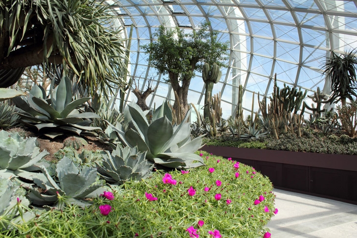 Archisearch GARDENS BY THE BAY | GRANT ASSOCIATES LANDSCAPE ARCHITECTS + WILKINSON EYRE ARCHITECTS | SINGAPORE_ASIA