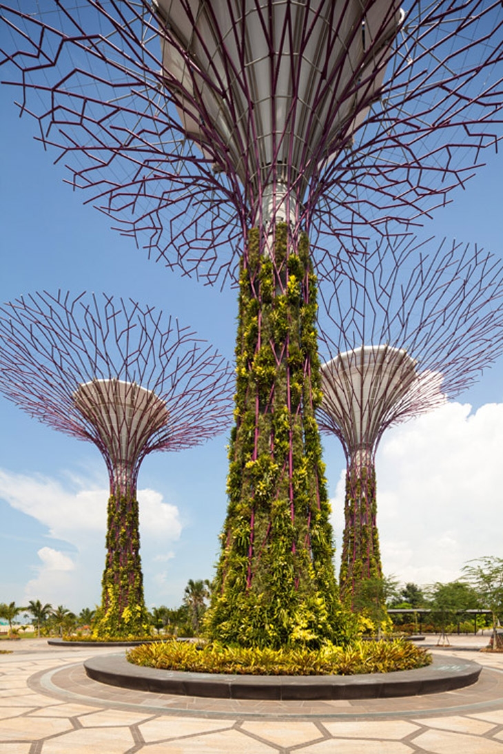 Archisearch GARDENS BY THE BAY | GRANT ASSOCIATES LANDSCAPE ARCHITECTS + WILKINSON EYRE ARCHITECTS | SINGAPORE_ASIA