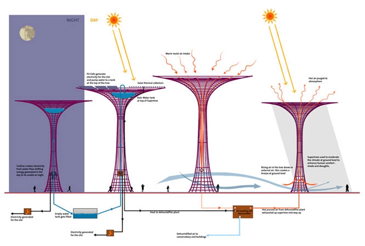 Archisearch GARDENS BY THE BAY | GRANT ASSOCIATES LANDSCAPE ARCHITECTS + WILKINSON EYRE ARCHITECTS | SINGAPORE_ASIA