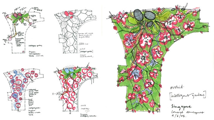 Archisearch GARDENS BY THE BAY | GRANT ASSOCIATES LANDSCAPE ARCHITECTS + WILKINSON EYRE ARCHITECTS | SINGAPORE_ASIA