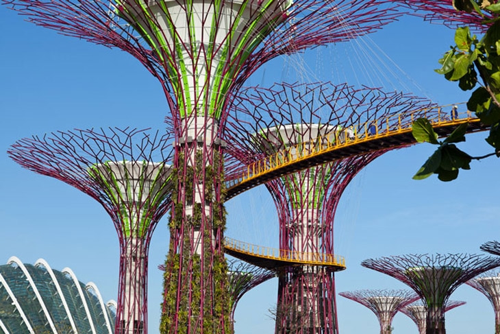 Archisearch GARDENS BY THE BAY | GRANT ASSOCIATES LANDSCAPE ARCHITECTS + WILKINSON EYRE ARCHITECTS | SINGAPORE_ASIA