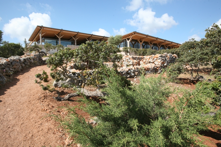 Archisearch - The mastic gumtree grove, with the museum in the background. (c) Kizis Architects