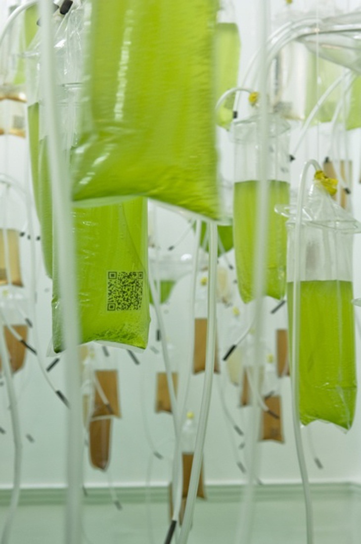 Archisearch - H.O.R.T.U.S by ecoLogicStudio