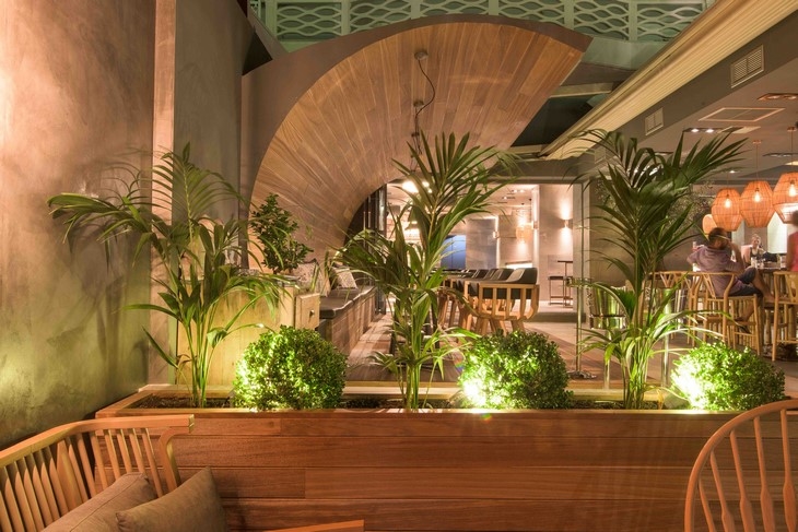 Archisearch - THE URBAN NATURALISM OF KAZE BAR / DEZONE Archi+