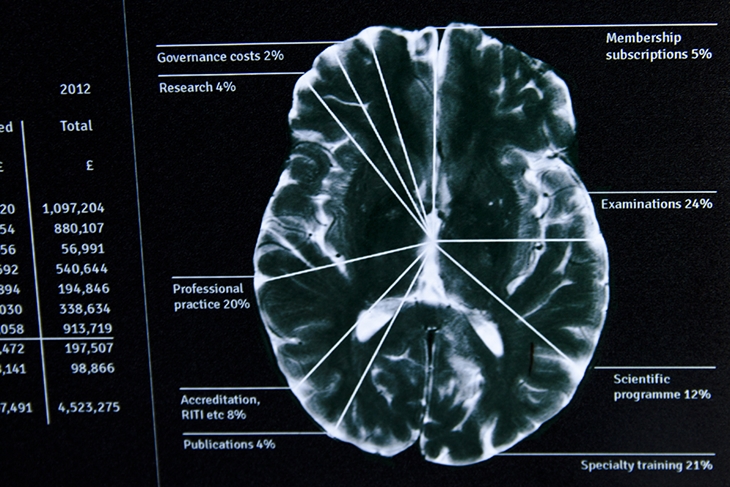 Archisearch GUILD OF RADIOLOGISTS ANNUAL REPORT BY CRAIG PALMER 