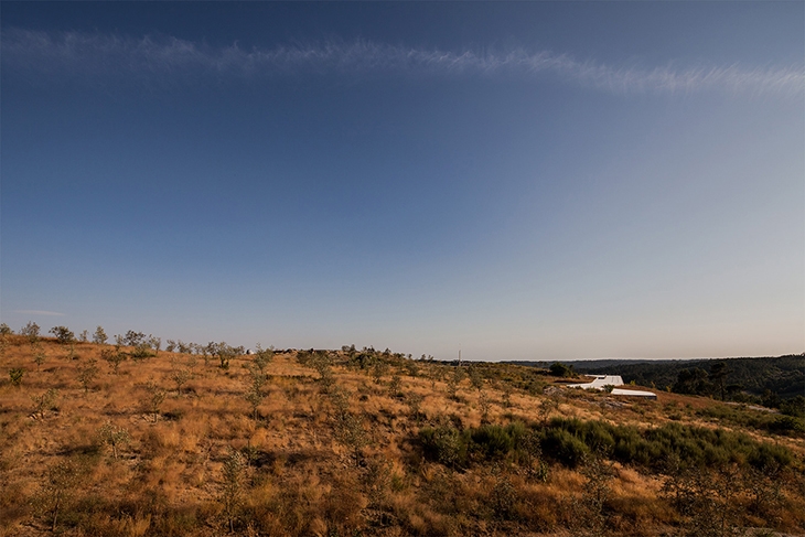 Archisearch QUINTA DE LEMOS WINE BUILDING BY CARVALHO ARAÚJO IN PORTUGAL