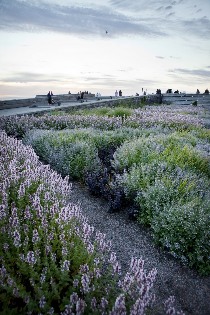 Archisearch A CELEBRATION TO THE SEA: DANIA PARK /  THORBJÖRN ANDERSSON WITH SWECO ARCHITECTS