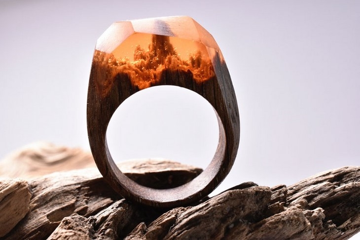 Archisearch MOUNTAIN AND UNDERWATER SCAPES ENCAPSULATED WITHIN WOODEN RINGS