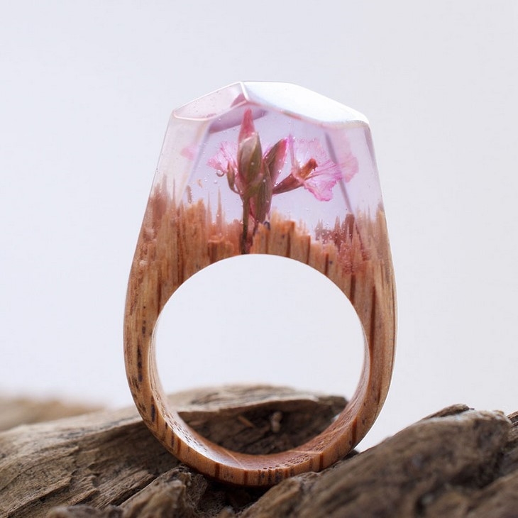Archisearch MOUNTAIN AND UNDERWATER SCAPES ENCAPSULATED WITHIN WOODEN RINGS