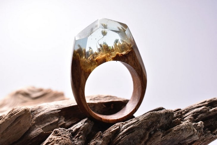 Archisearch - MOUNTAIN AND UNDERWATER SCAPES ENCAPSULATED WITHIN WOODEN RINGS