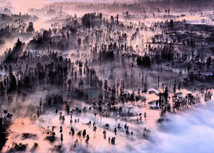 Archisearch - Misty At Cemoro Lawang, Indonesia / Image source: Achmad Sumawijaya