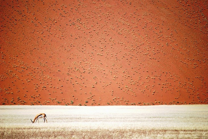 Archisearch - Namibian Desert, Namibia / Image source: Doris Landertinger