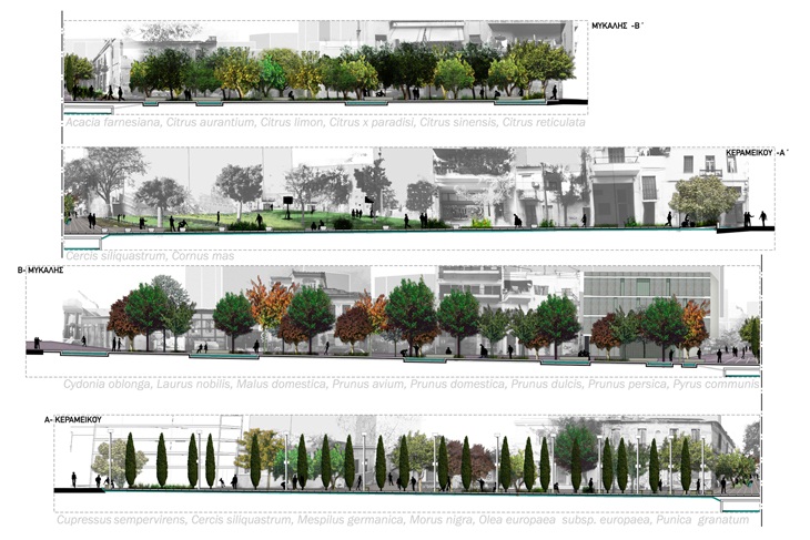 Archisearch - ΝΟΤ* _διαφοροποιημένες φυτεύσεις στους 4 άξονες του σταυρού