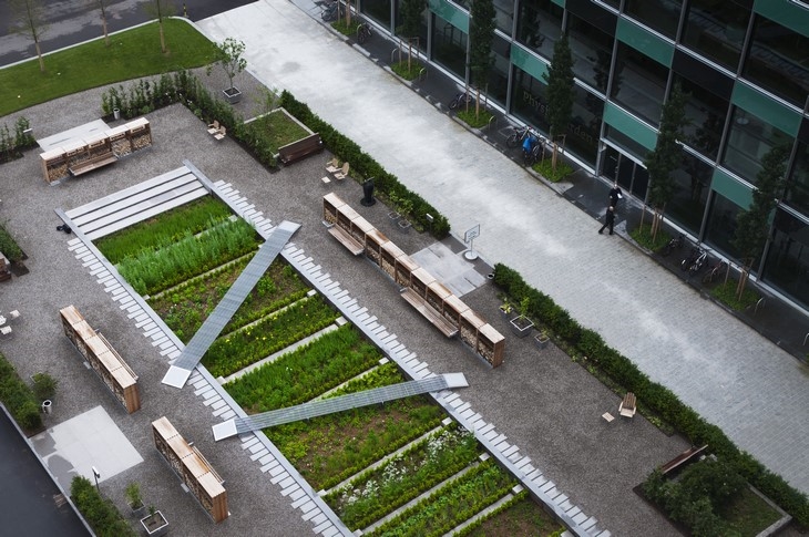 Archisearch THORBJÖRN ANDERSSON COLLABORATES WITH SWECO ARCHITECTS AND DESIGN THE PHYSIC GARDEN AT THE NOVARTIS CAMPUS IN SWITZERLAND