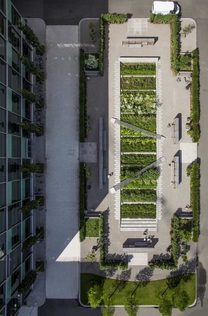 Archisearch THORBJÖRN ANDERSSON COLLABORATES WITH SWECO ARCHITECTS AND DESIGN THE PHYSIC GARDEN AT THE NOVARTIS CAMPUS IN SWITZERLAND