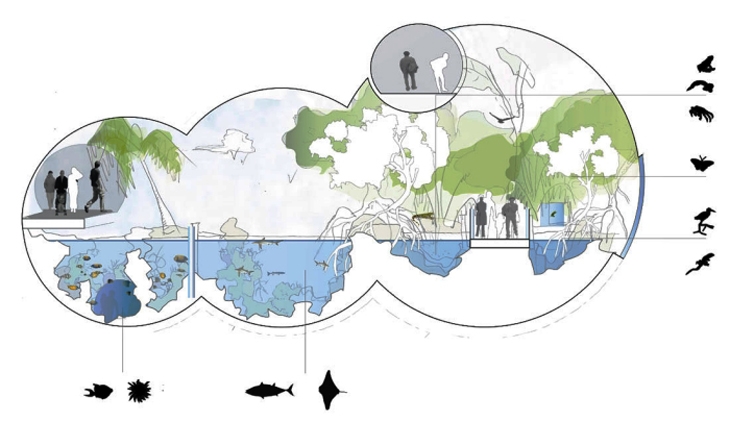 Archisearch HHF ARCHITECTS AND BURCKHARDT+PARTNER: THE 2ND PRIZE WINNING PROPOSAL FOR THE ZOO BASEL OZEANIUM