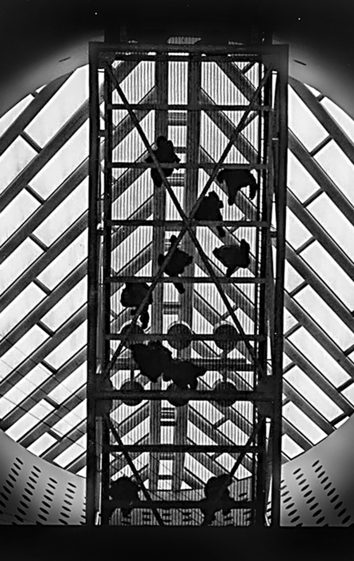 Archisearch - San Francisco Museum of Modern Art, San Francisco USA by architect Mario Botta (c) Pygmalion Karatzas