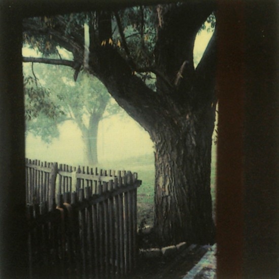 Archisearch - Polaroid by Andrei Tarkovsky from the book Instant Light - Tarkovsky Polaroids from Thames and Hudson