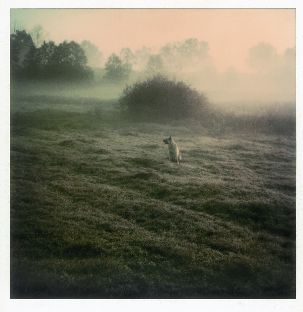 Archisearch - Polaroid by Andrei Tarkovsky from the book Instant Light - Tarkovsky Polaroids from Thames and Hudson