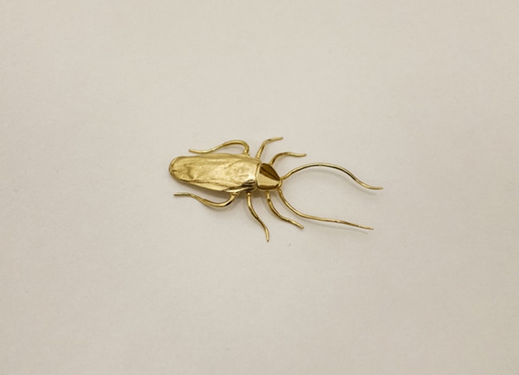 Archisearch THE GOLDENROACH