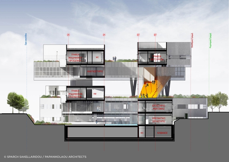 Archisearch DENDRITES OR A WEB OF INTER-CONNECTIONS: SPARCH's PROPOSAL FOR THE MEDICAL SCHOOL OF THE UNIVERSITY OF CYPRUS